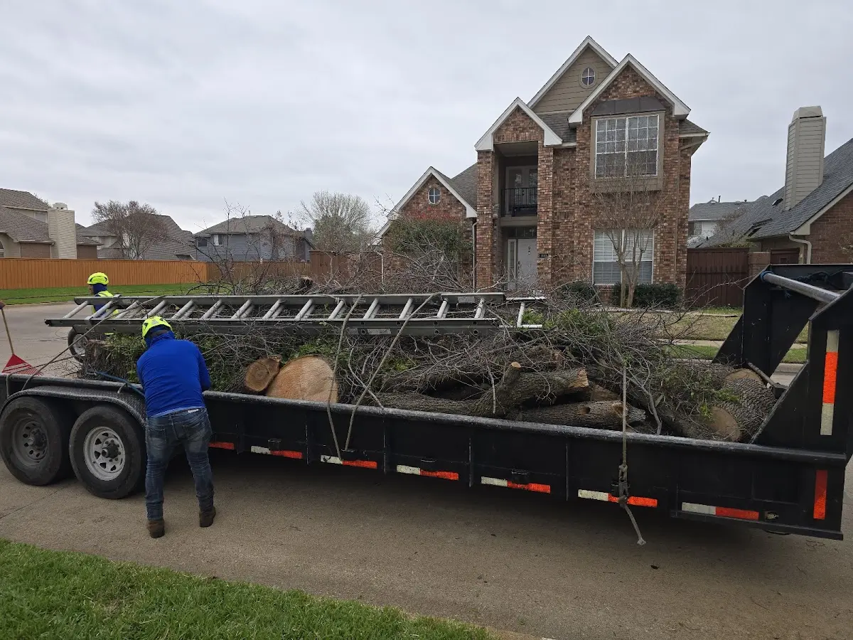 Expert Tree Fertilization with proper safety equipment in Karval